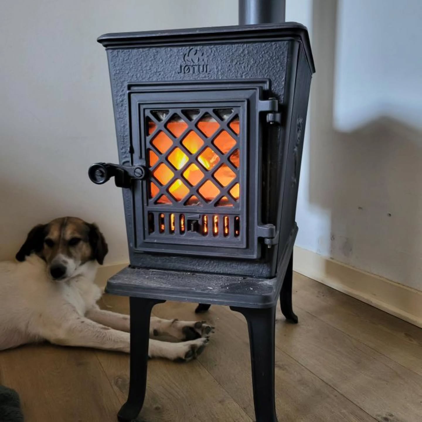 jötuul480248013_972238367765617_5588829913486228209_n